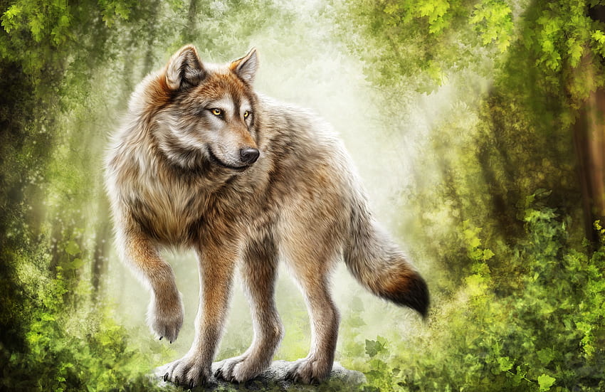 Gray Wolf Painting (Page 1) HD wallpaper