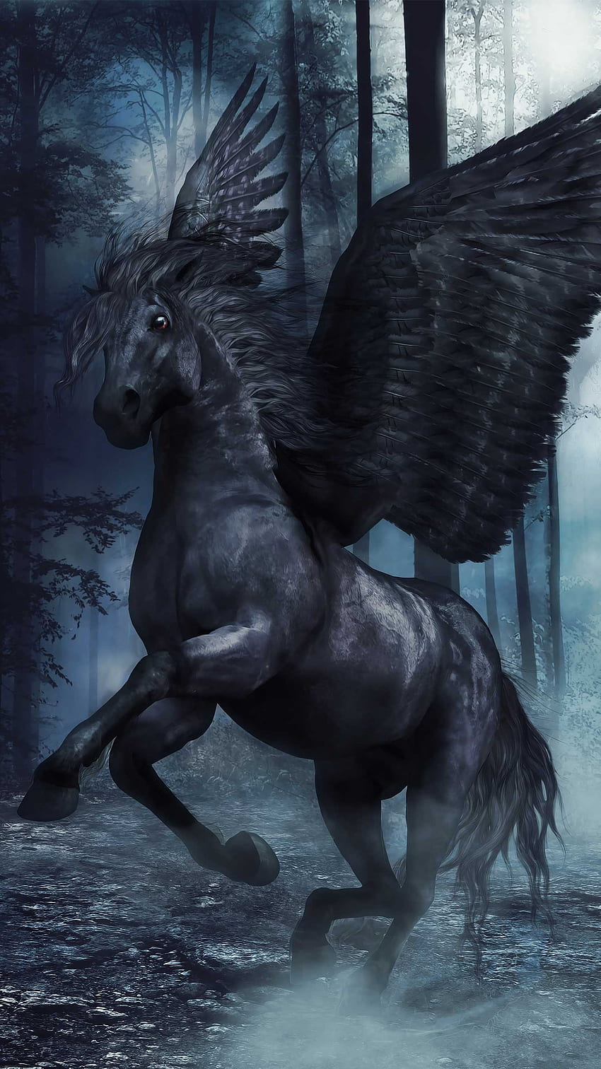 Pegaso N***o, koń, skrzydła, czarny, zwierzę, pegaz Tapeta na telefon HD