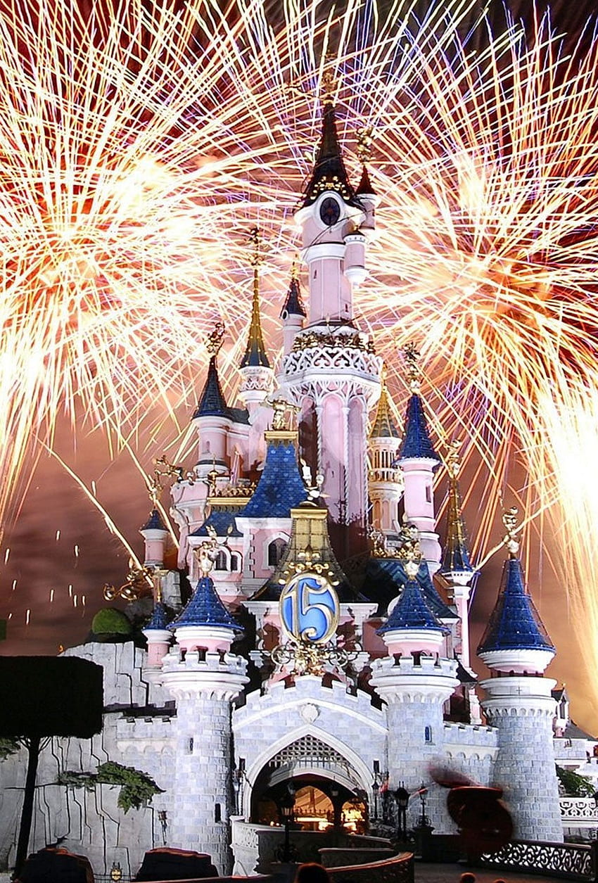 Disney Castle Fireworks, Disneyland Fireworks HD phone wallpaper