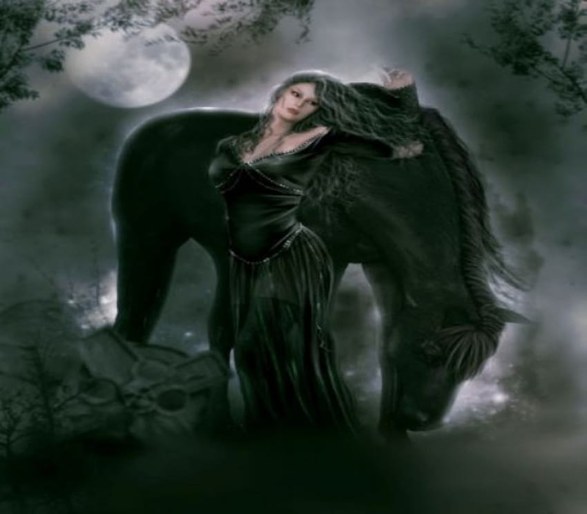 MOONLIT NIGHT, night, horse, moonlit, female HD wallpaper | Pxfuel