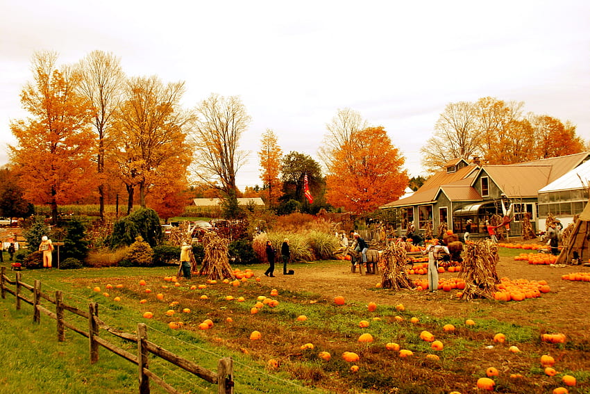 Autumn Farm, Vermont in Fall HD wallpaper