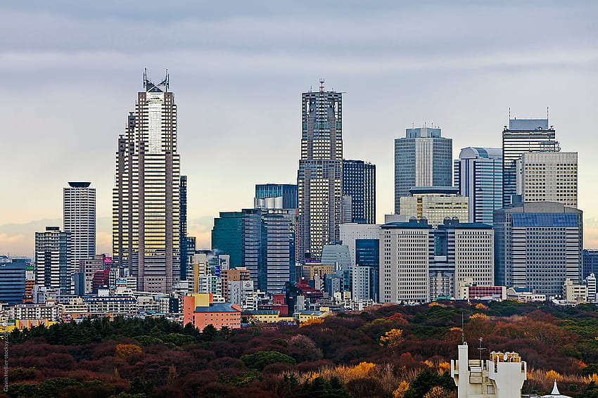 Azja, Japonia, Tokio, Shinjuku Skyline widziana z Shibuya - podniesiona Tapeta HD