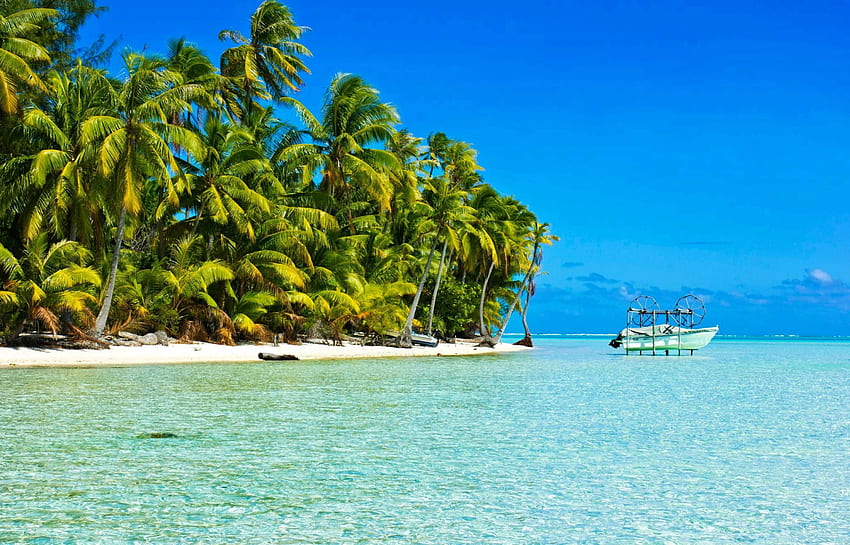 South Pacific Beach, wyspa, morze, piasek, tropikalny, egzotyczny, raj, laguna, francuski, południowy Pacyfik, plaża, palmy, ocean, polinezja Tapeta HD