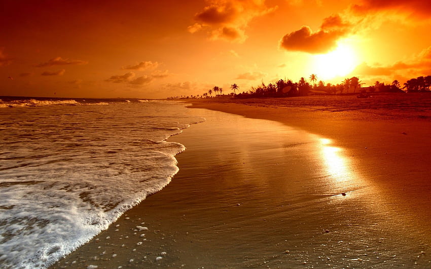 Palmy, fale, piękne morze, lato, woda, natura, opalanie, wschód słońca, plaża, zachód słońca, lato, plaża, niesamowite plaże, kraj, scena, chmury, niebo. Pełny Tapeta HD