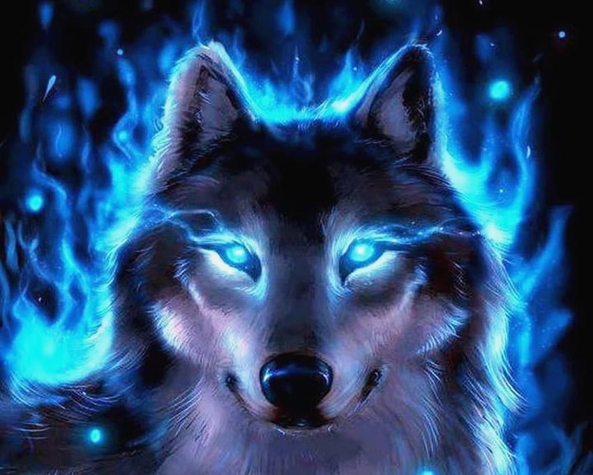Wolf Galaxy - PC용, Cool Galaxy Wolf HD 월페이퍼