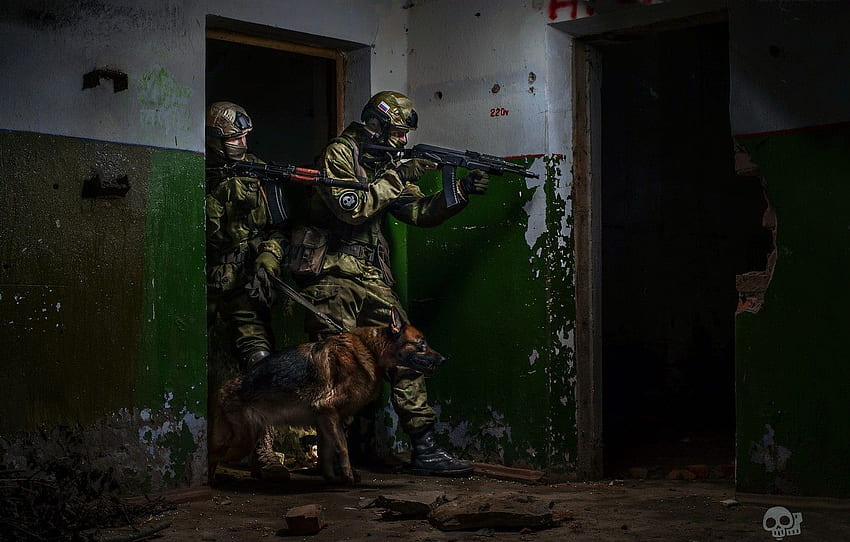 pies, żołnierze, siły specjalne, Special Operation Force Tapeta HD