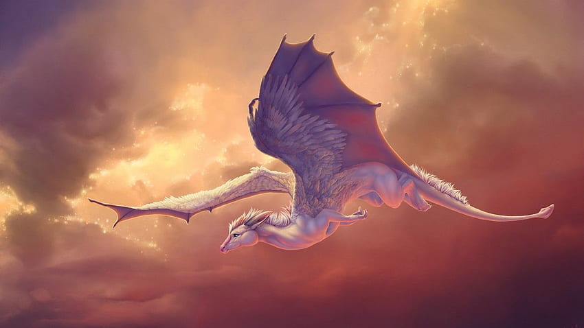 Baby Dragon, Wings, Flight, Creative Graphics, Cloud Dragon HD wallpaper