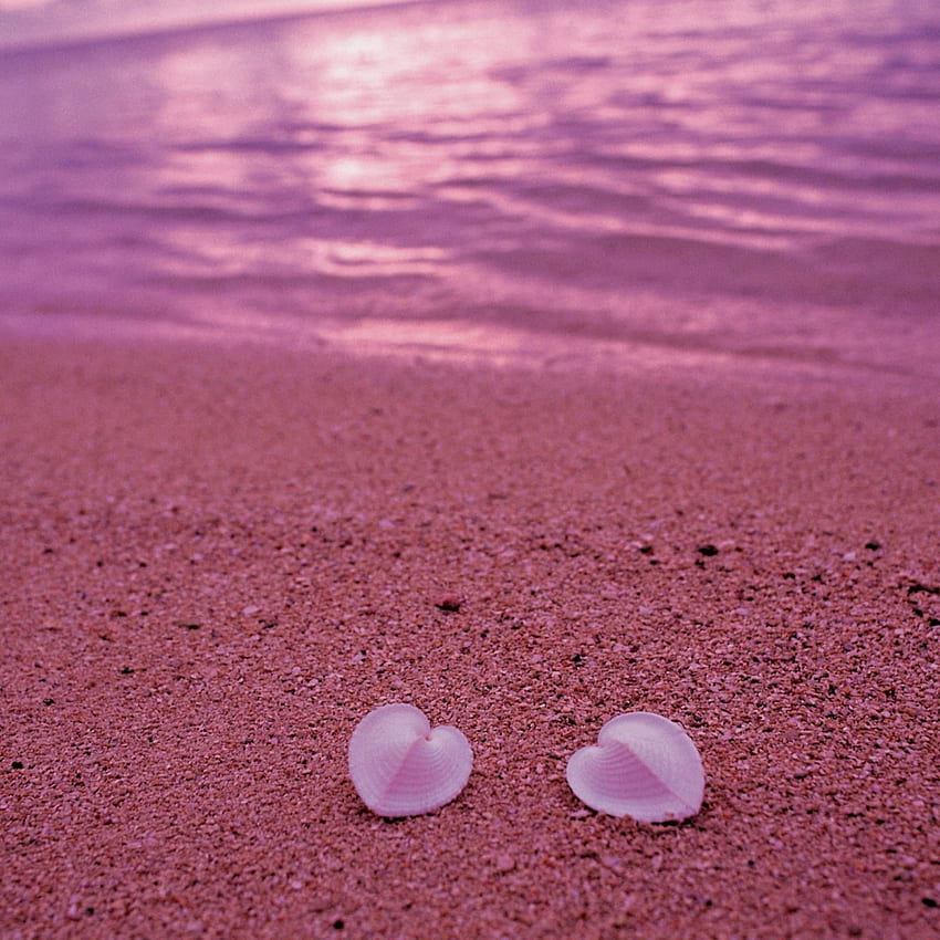 Coquillages en forme de coeur sur l'air rose d'iPad de plage, plage d'amour de coeur Fond d'écran de téléphone HD
