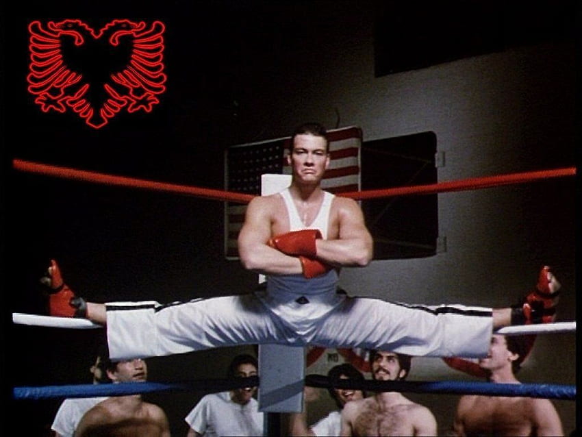 Daniel Jones sur Jean Claude Van Damme. Van damme, Tigre Shotokan Fond d'écran HD