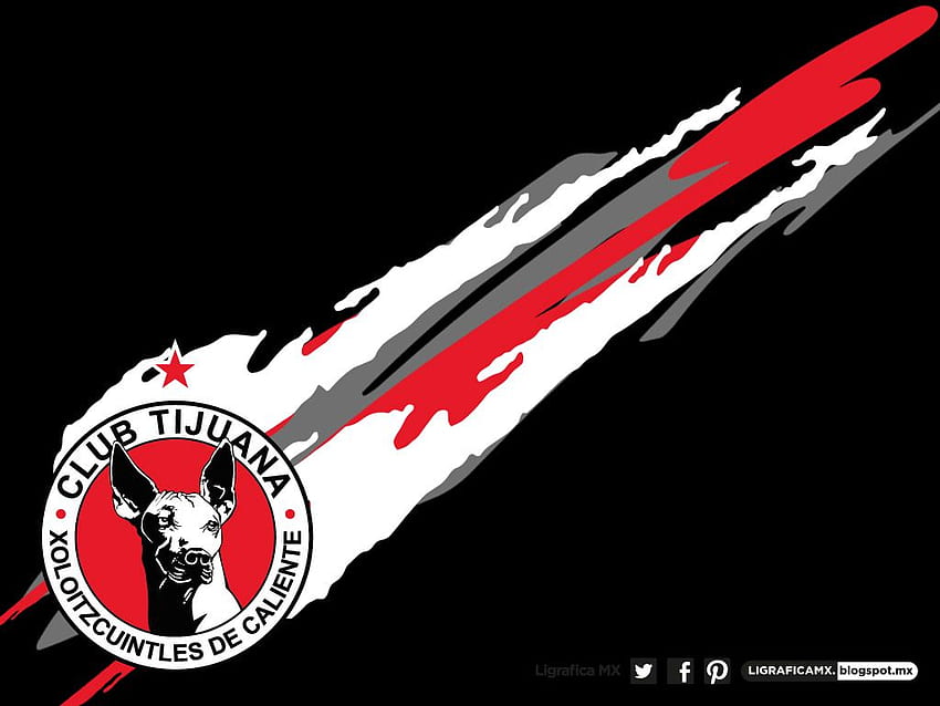 HD xolos tijuana wallpapers | Peakpx