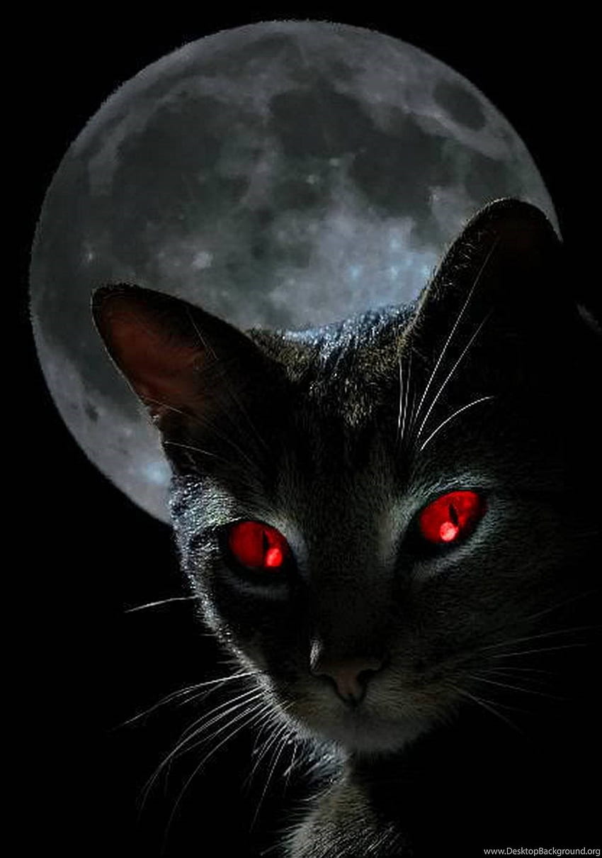 chat noir yeux rouges fond fond, chat noir cool Fond d'écran de téléphone HD
