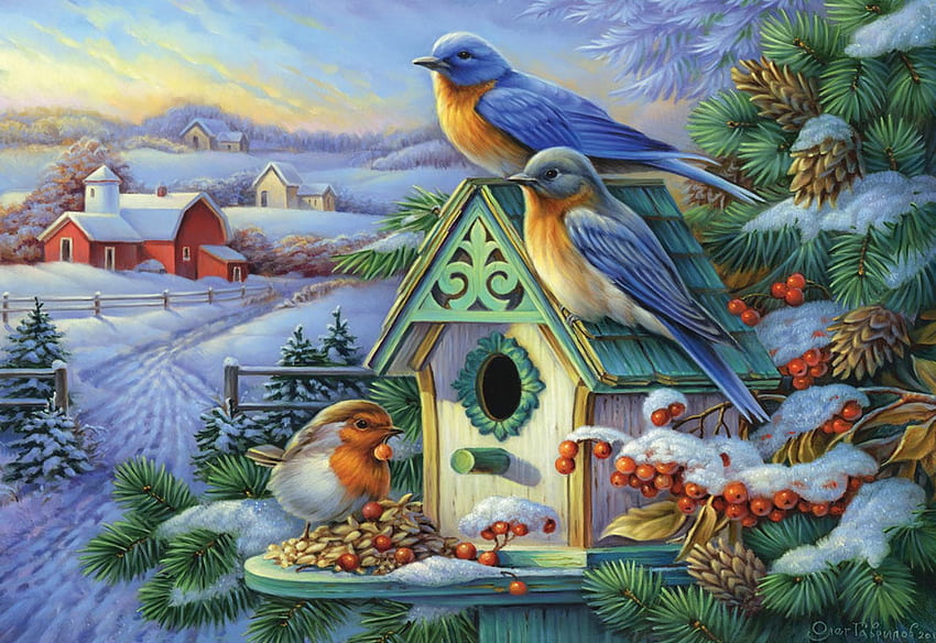 Altın Sabah, kış, kuş evi, ahır, , mavi kuşlar, kar, ağaç, Gündoğumu HD duvar kağıdı