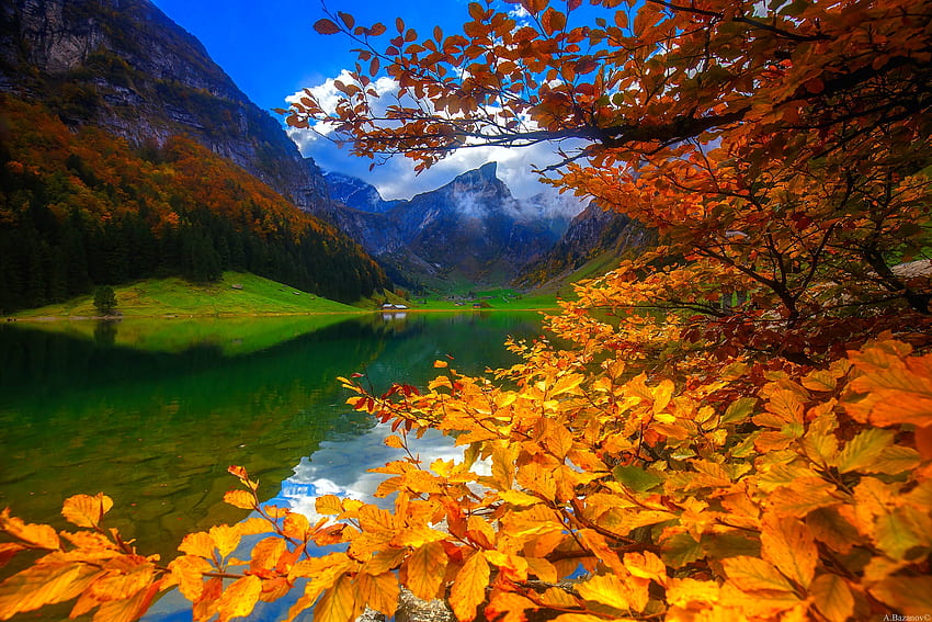 Lago de montaña en otoño, colinas, otoño, colores, serenidad, tranquilidad, montaña, lago, cabaña, reflexión, ramas, otoño, bosque, follaje fondo de pantalla