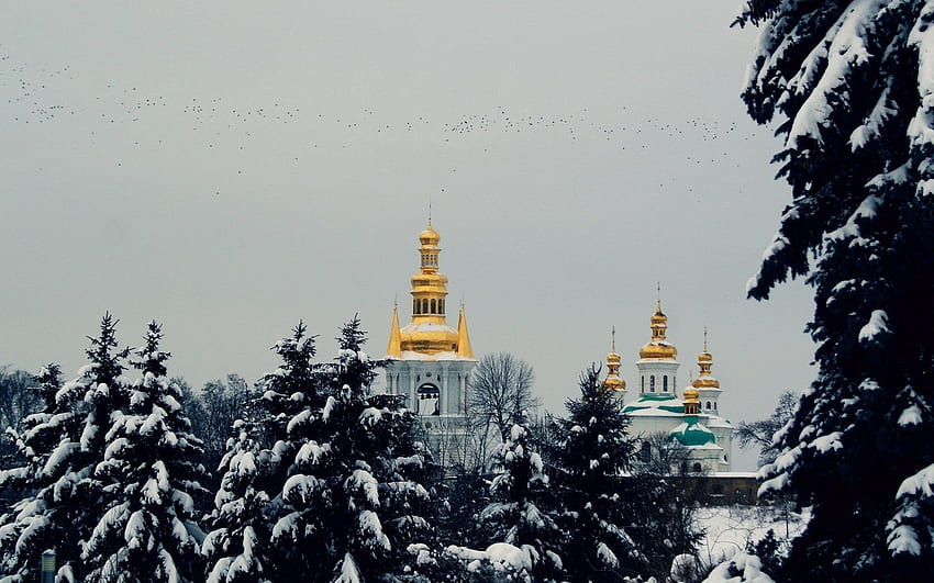 เมือง ฤดูหนาว นก ต้นไม้ ท้องฟ้า ต้นสน หิมะ เที่ยวบิน อารมณ์ โบสถ์ วอลล์เปเปอร์ HD