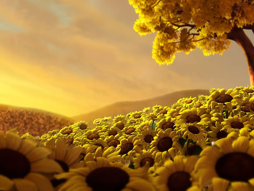 Bidang Bunga Matahari, luar biasa, bidang, alam, matahari, bunga matahari Wallpaper HD