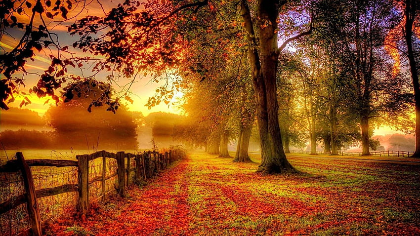 Herbstlandschaft, kühler Herbst HD-Hintergrundbild
