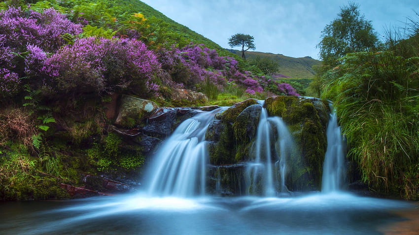 Fairbrook Waterfall, Peak District, Inghilterra, fiume, fiori, cascate, alberi, autunno, cielo Sfondo HD