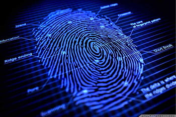 Everything You Need to Know About Live Scan Fingerprinting - CPI OpenFox
