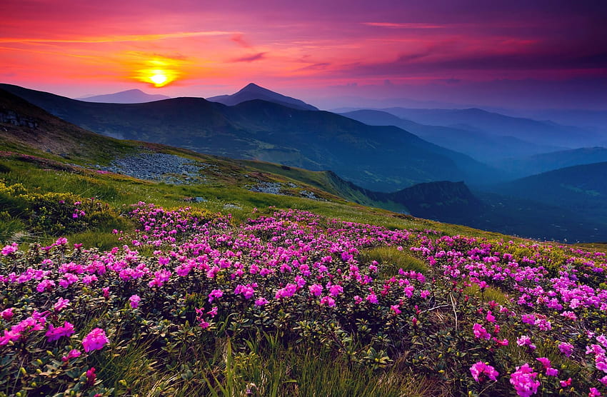 Shenandoah National Park. Beautiful nature, Beautiful landscapes, Alps Flowers Sunset HD wallpaper