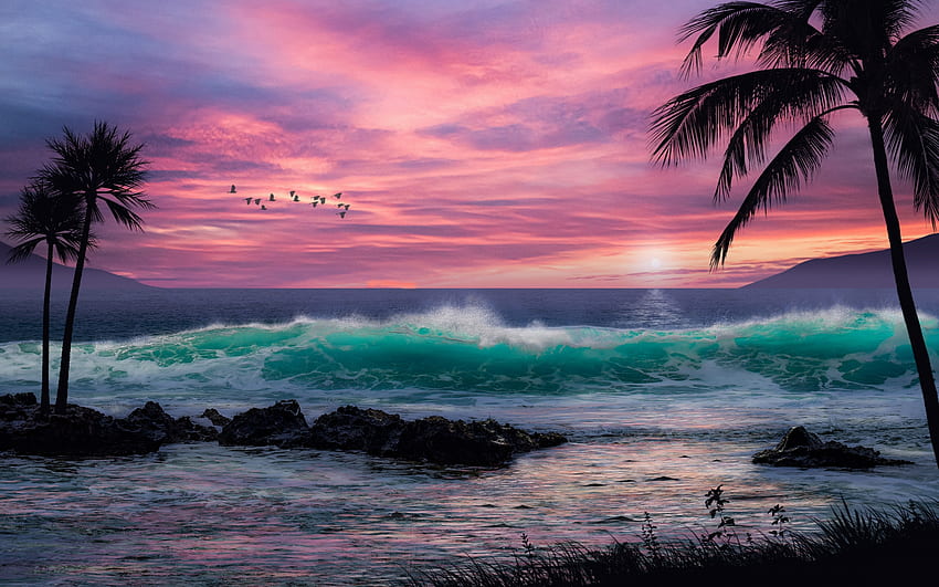 Matahari terbenam, laut, musim panas, merah muda, pohon palem, air, pantai, ombak, burung Wallpaper HD