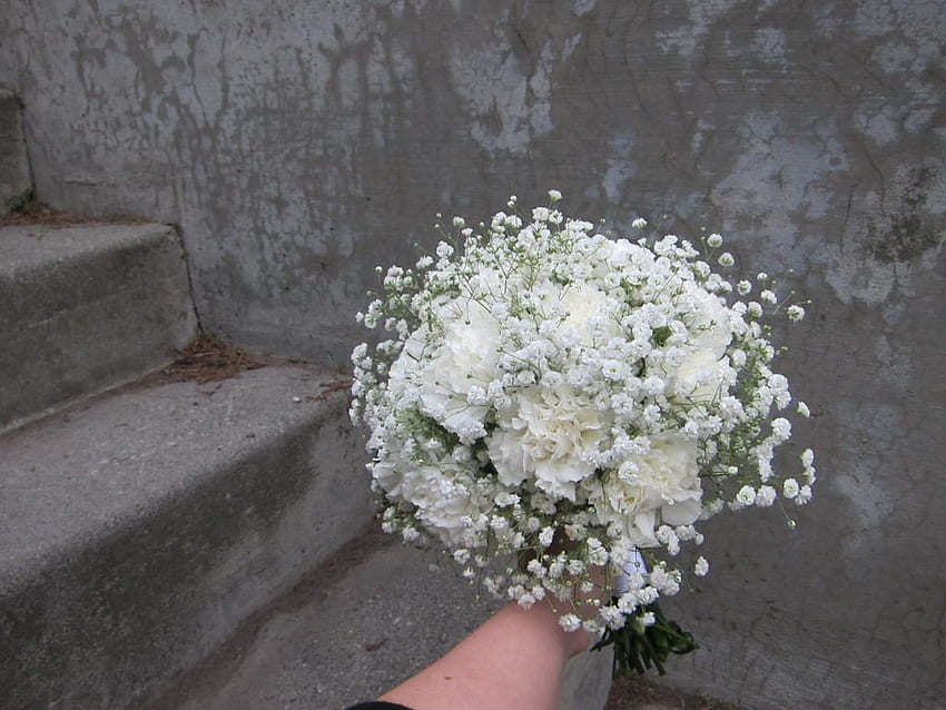 Classic Bridal Bouquet Of White Carnations And Baby - White, Baby ...