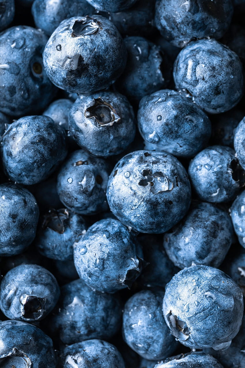 Beri segar, buah, blueberry wallpaper ponsel HD