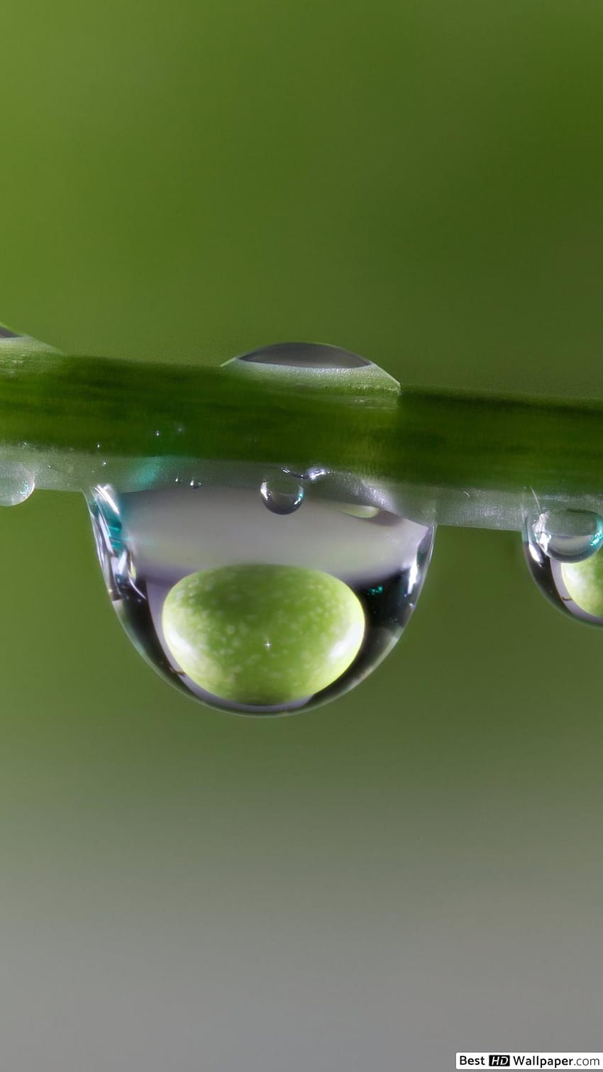 Water Drop Notch, Green Background, green, background HD phone wallpaper