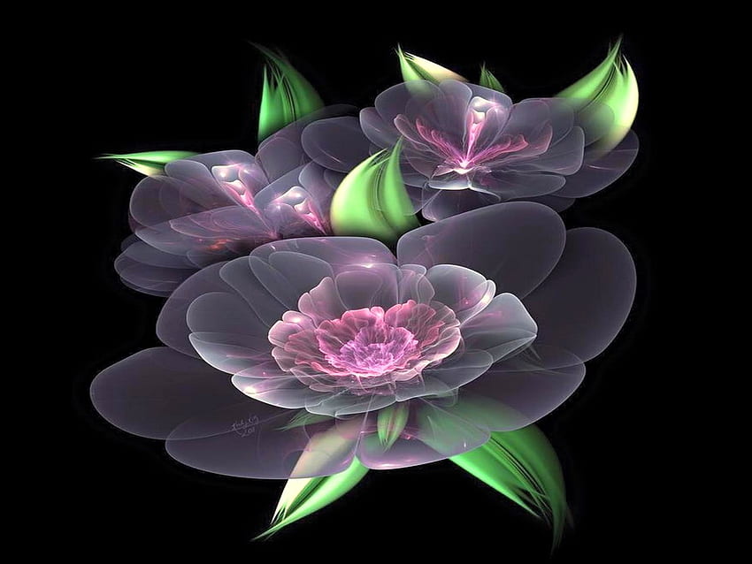 Floral glass beauty, pink, black, green, glass, flowers HD wallpaper