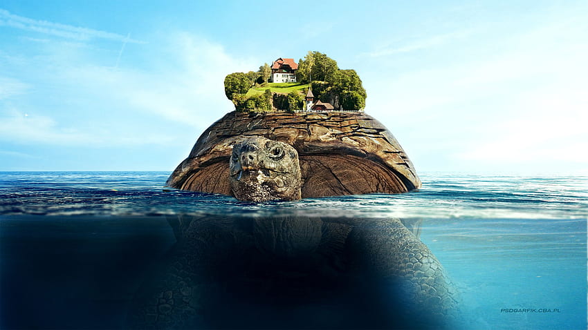 Floating island . Floating island stock, Turtle Island HD wallpaper