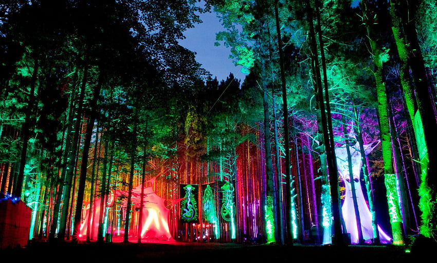 Bonnaroo Background. Beautiful , and Naruto Background, Psychedelic Forest HD wallpaper
