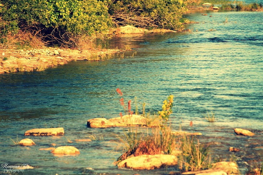Nueces River, river, texas, nueces, campwood HD wallpaper