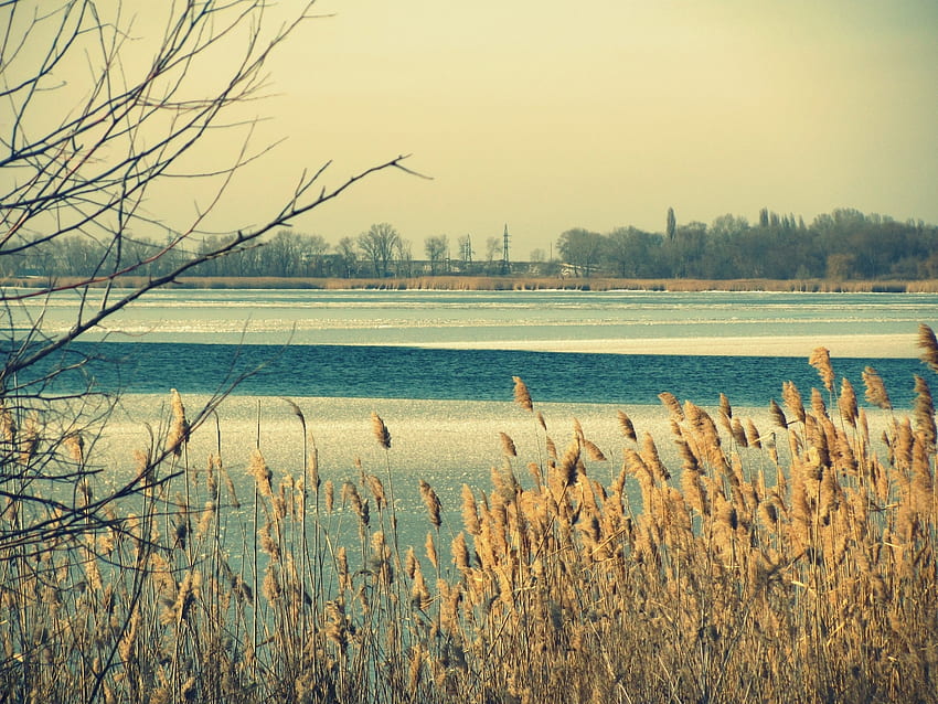 Winter, Nature, Rivers, Ice, Shore, Bank HD wallpaper