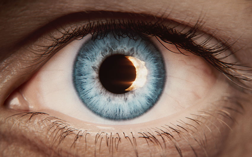目、眼科医、ビジョンの概念、人間の目、目の治療 高画質の壁紙