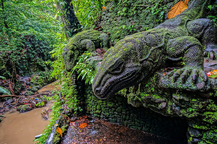 Komodo Dragon Statues 59773 px HD wallpaper