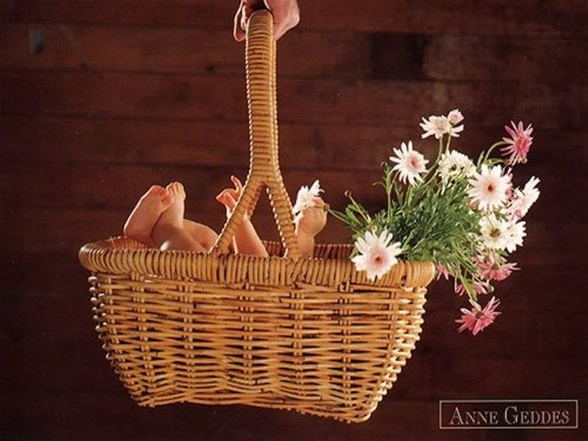 пролетен подарък, кошница, бебе, ан гедес, цвете HD тапет