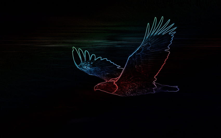 неонов орел черен / и мобилен фон, Neon Bird Art HD тапет