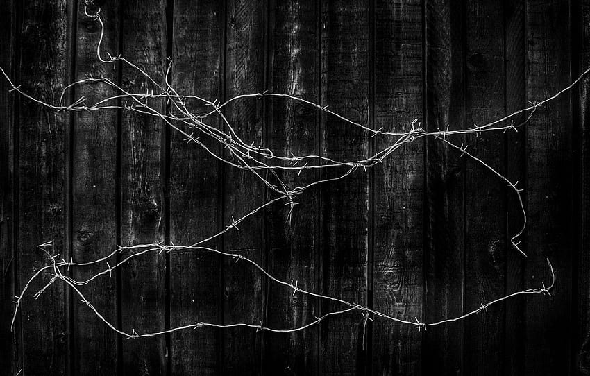 Board, black, Barbed wire for , section HD wallpaper