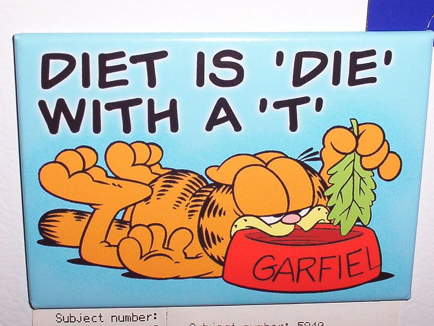 Garfield Monday (Page 1), I Hate Mondays HD wallpaper