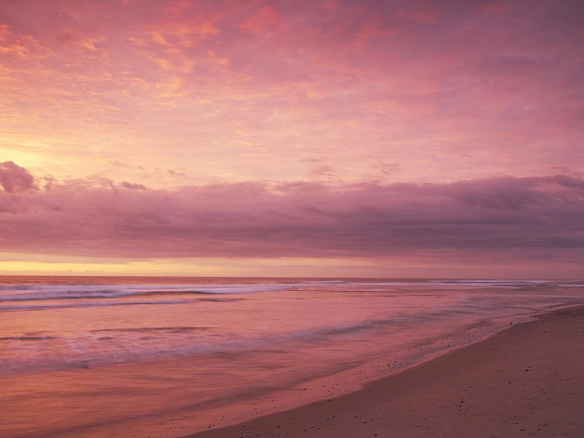 해변 - & 배경, 분홍모래해변 HD 월페이퍼
