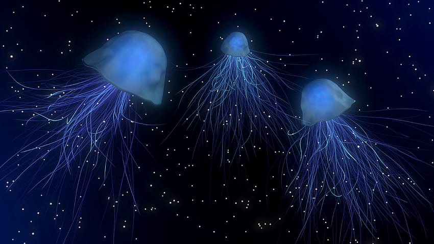 นามธรรม จักรวาล แมงกะพรุน โลกใต้น้ำ วอลล์เปเปอร์ HD