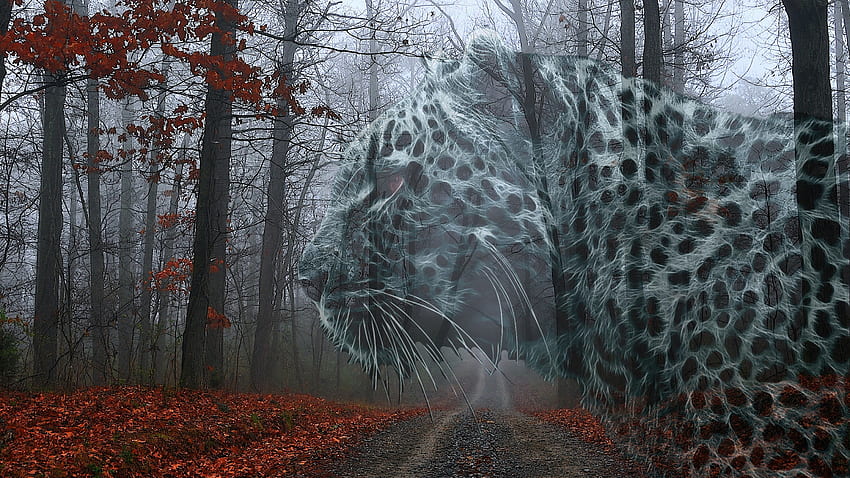 Snow'Leopard'Red'Falling'Leaves ถนน ใบไม้ เสือดาว ฤดูใบไม้ร่วง ฤดูใบไม้ร่วง เสือดาวหิมะ ป่า ใบไม้แดง วอลล์เปเปอร์ HD