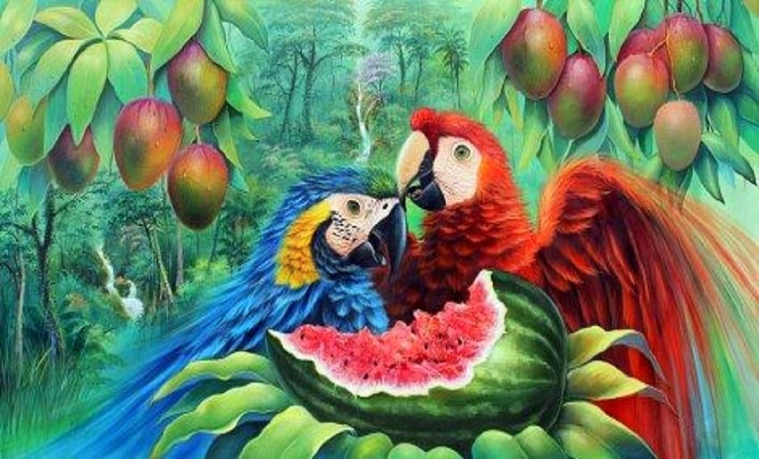 Love the Couple, beloved valentines, birds, colors, paintings, fruits, love four seasons, parrots, animals, love, couple HD wallpaper