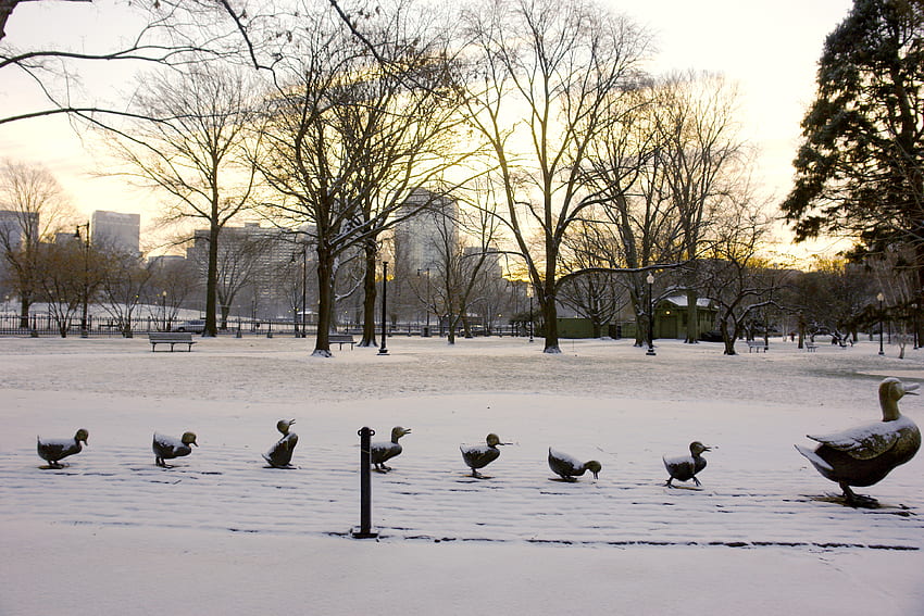 snow on ducks of stone in a park, winter, mother and chicks, statues, park HD wallpaper