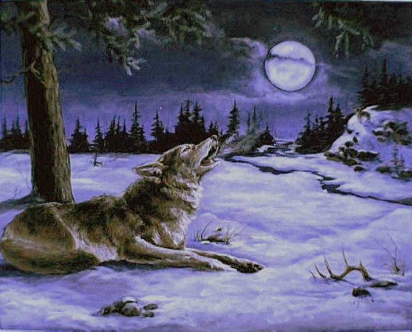 Baying Wolf, Woods, Lone, Moon, HowlingWinter, Wolf Wallpaper HD