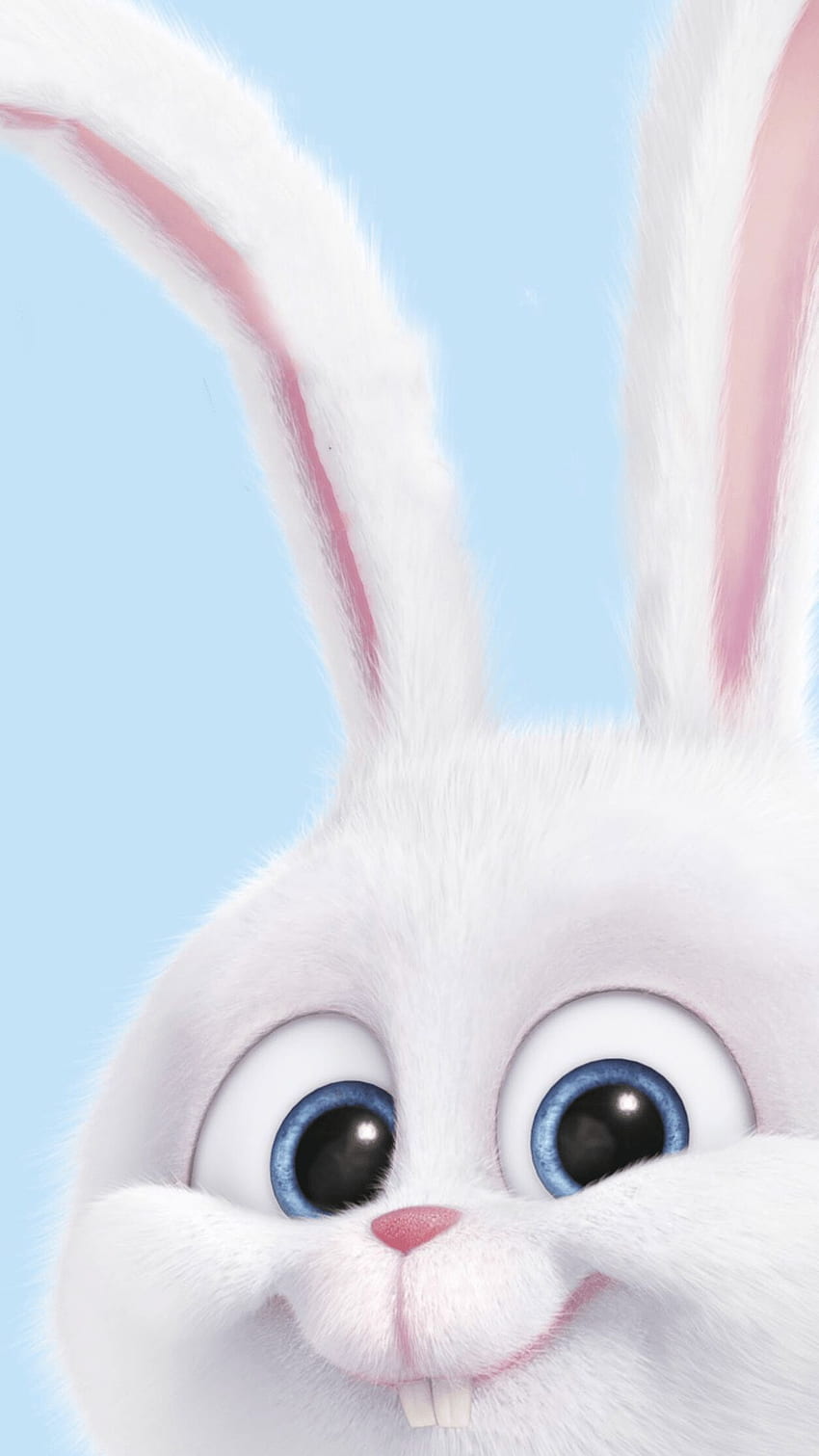 귀여운 만화 토끼 Top 귀여운 만화 토끼, 귀여운 만화 토끼 HD 전화 배경 화면