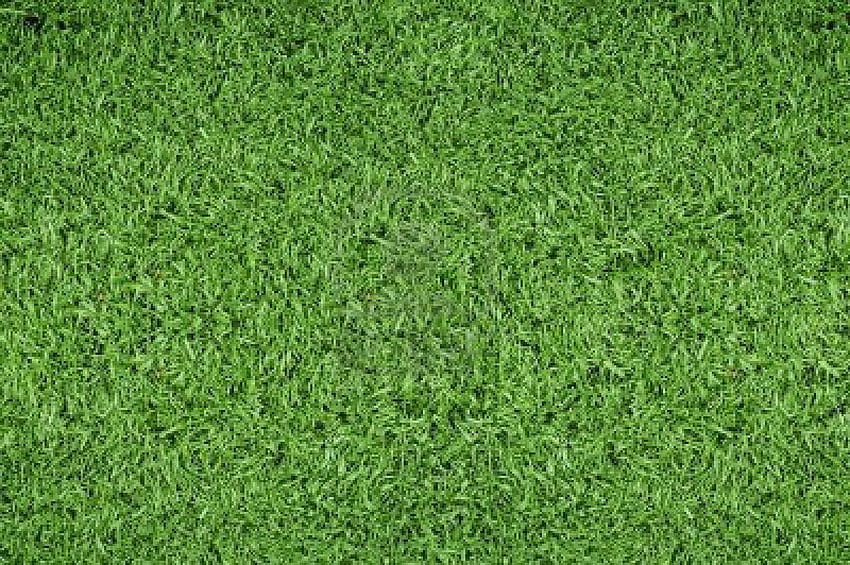 Boisko do piłki nożnej trawa -, tło boisko do piłki nożnej trawy na nietoperz, pole trawy Tapeta HD