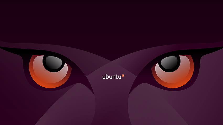 Ubuntu Dragon-Hintergrund, Ubuntu Linux HD-Hintergrundbild