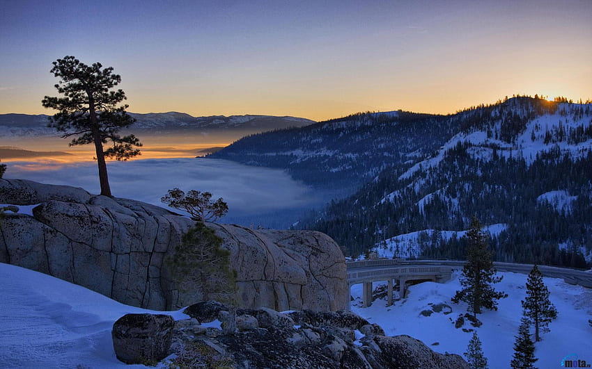 Kiefer auf einer Klippe, Winter, Kiefer, Schnee, Bäume, Natur, Klippe, Berge, z HD-Hintergrundbild