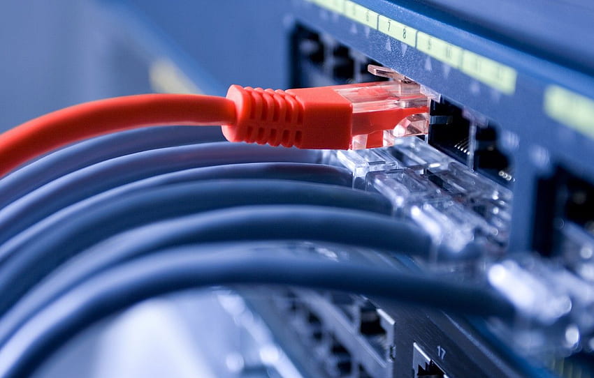 rosso, blu, cavi, reti e telecomunicazioni, Networking Sfondo HD
