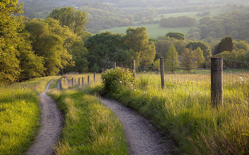 Nature Roads Fence Fields Grass, England Country HD wallpaper